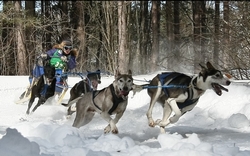 course sport neige traineau massif central